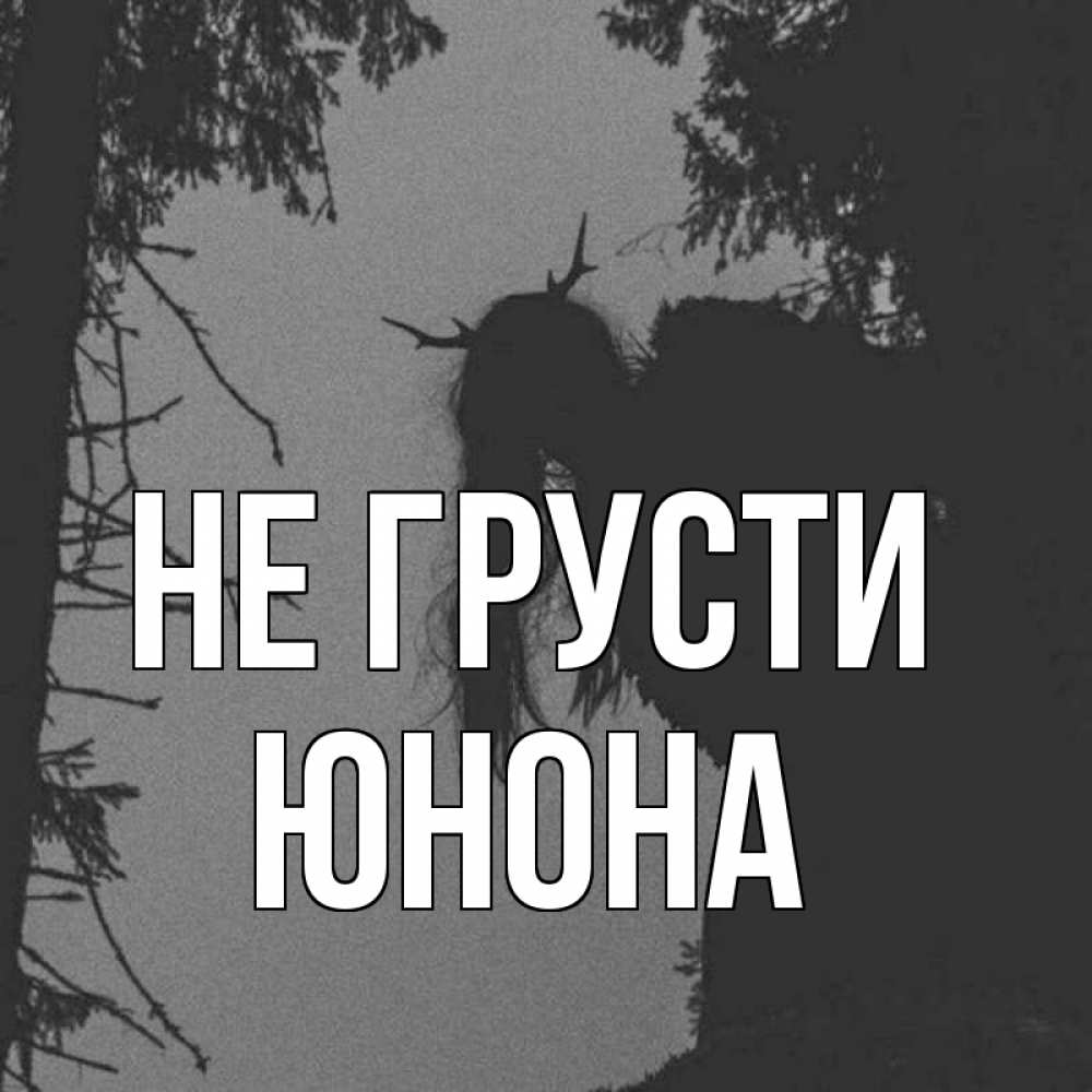 Открытка на каждый день с именем, Юнона Не грусти чудище лесное Прикольная открытка с пожеланием онлайн скачать бесплатно 