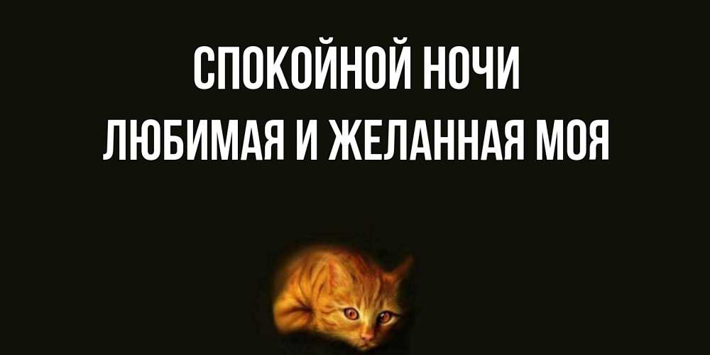 Открытка на каждый день с именем, любимая-и-желанная-моя Спокойной ночи кот Прикольная открытка с пожеланием онлайн скачать бесплатно 