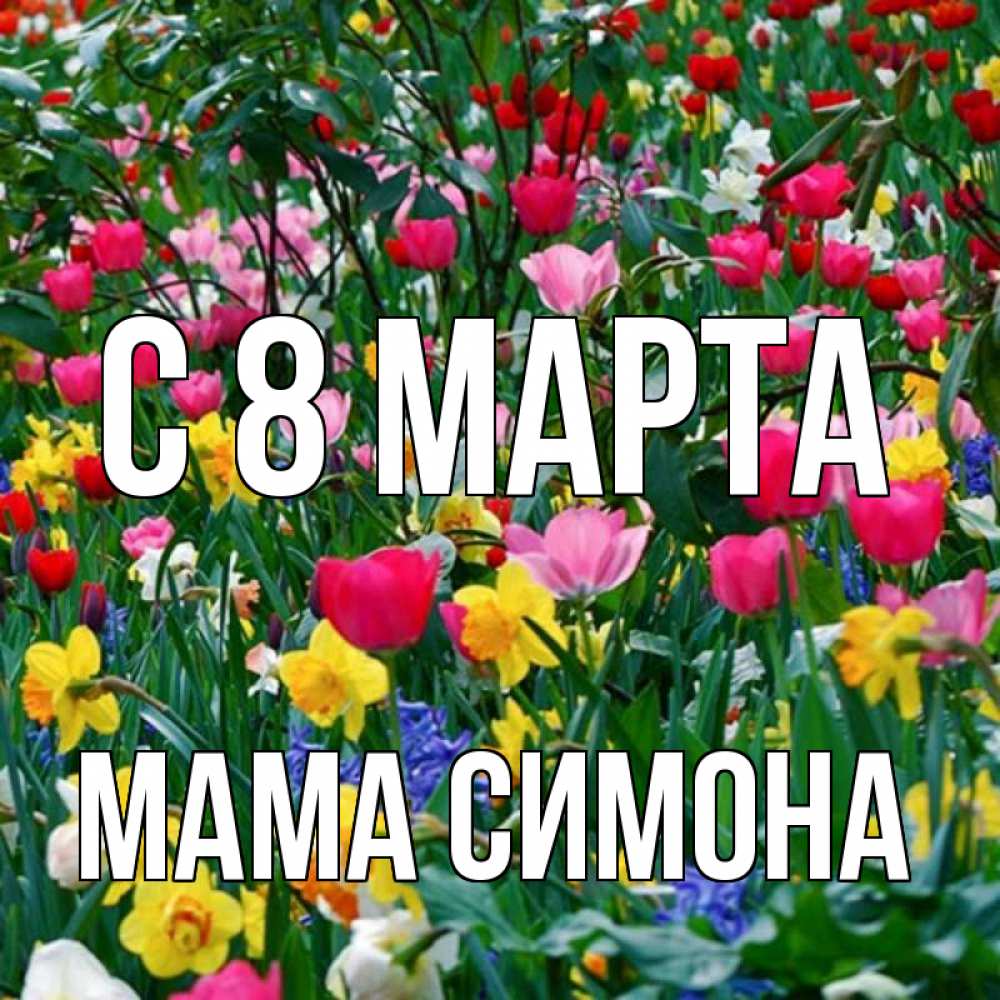 Открытка на каждый день с именем, Мама-Симона С 8 МАРТА с международным женским днем поздравления для женщины Прикольная открытка с пожеланием онлайн скачать бесплатно 