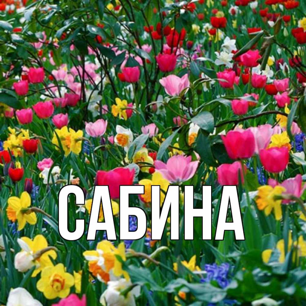 Открытка на каждый день с именем, Сабина Главная с наурызом праздником весны поздравления для женщины Прикольная открытка с пожеланием онлайн скачать бесплатно 