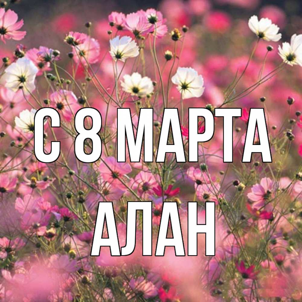 Открытка на каждый день с именем, Алан С 8 МАРТА красиво 1 Прикольная открытка с пожеланием онлайн скачать бесплатно 