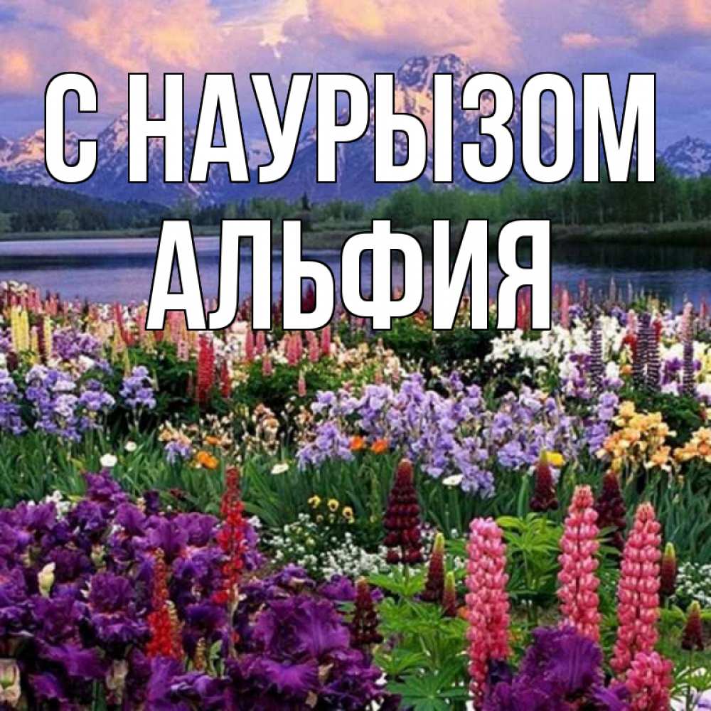 Открытка на каждый день с именем, Альфия С наурызом праздник весны наурыз Прикольная открытка с пожеланием онлайн скачать бесплатно 