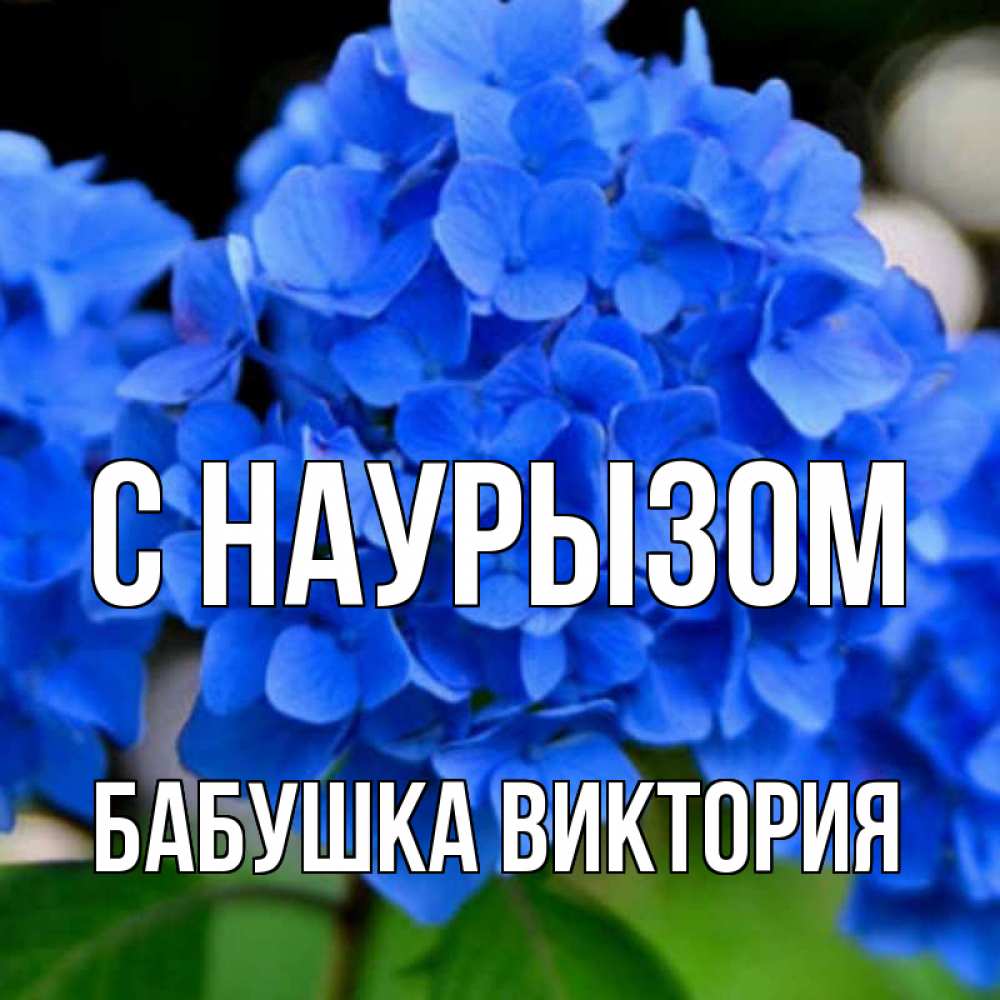 Открытка на каждый день с именем, Бабушка-Виктория С наурызом синие цветы Прикольная открытка с пожеланием онлайн скачать бесплатно 