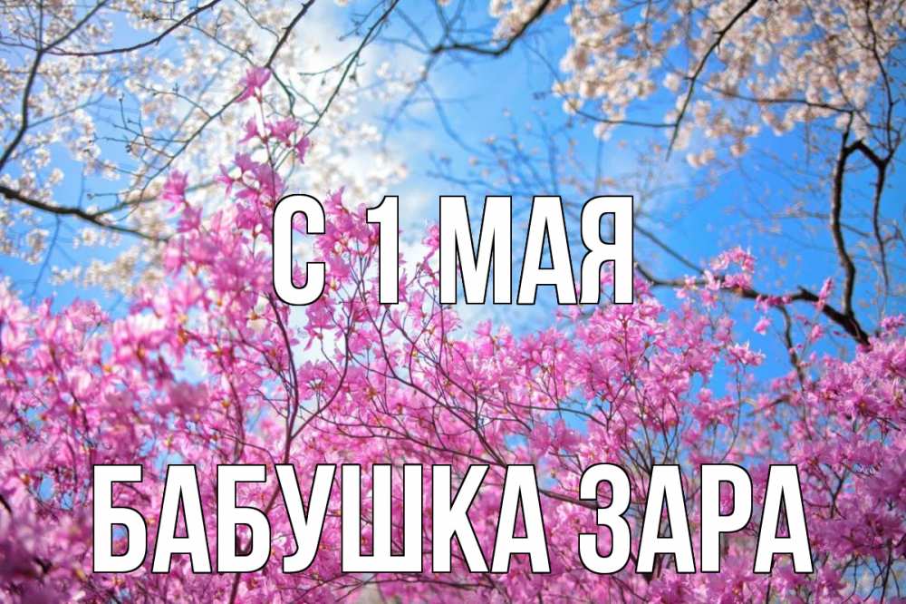 Открытка на каждый день с именем, Бабушка-Зара С 1 мая С 1 мая Прикольная открытка с пожеланием онлайн скачать бесплатно 