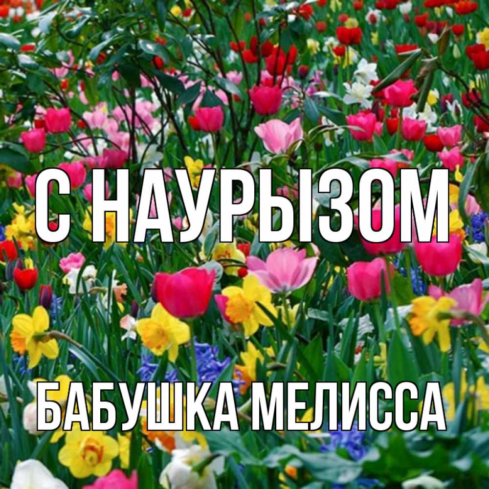 Открытка на каждый день с именем, Бабушка-Мелисса С наурызом с наурызом праздником весны поздравления для женщины Прикольная открытка с пожеланием онлайн скачать бесплатно 