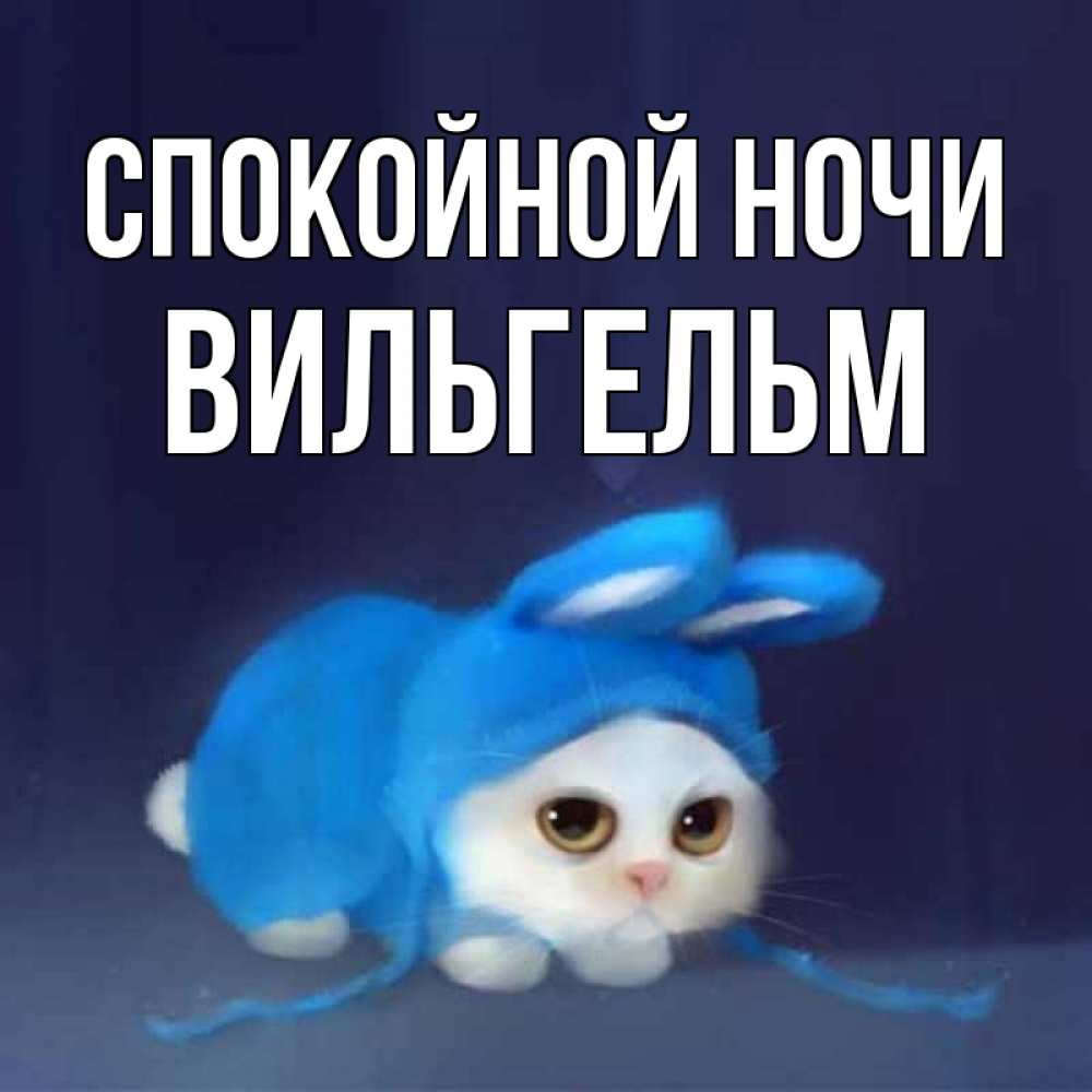 Открытка на каждый день с именем, Вильгельм Спокойной ночи кот в голубом костюме кролика с ушками Прикольная открытка с пожеланием онлайн скачать бесплатно 