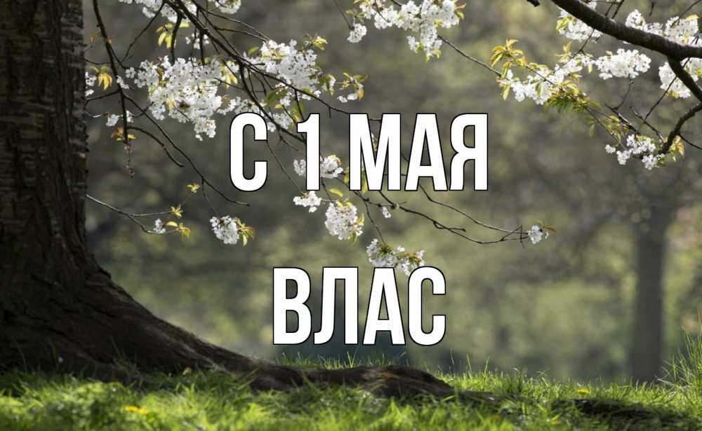 Открытка на каждый день с именем, Влас С 1 мая С 1 мая Прикольная открытка с пожеланием онлайн скачать бесплатно 