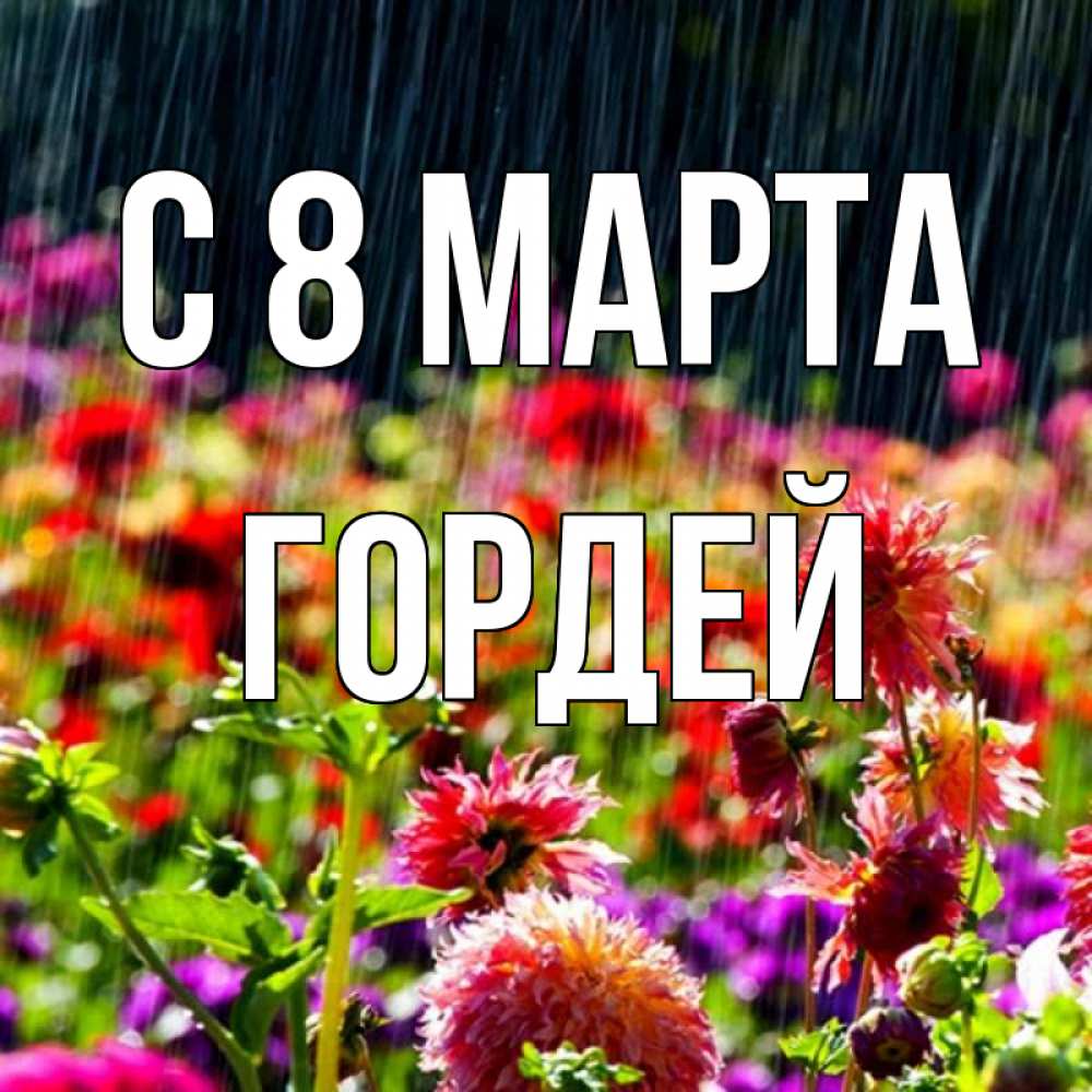 Открытка на каждый день с именем, Гордей С 8 марта цветы под дождиком к международному женскому дню Прикольная открытка с пожеланием онлайн скачать бесплатно 