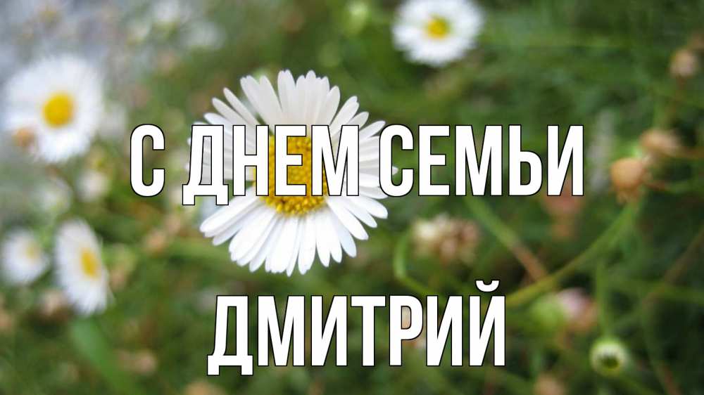 Открытка на каждый день с именем, Дмитрий С днем семьи с днем семьи Прикольная открытка с пожеланием онлайн скачать бесплатно 