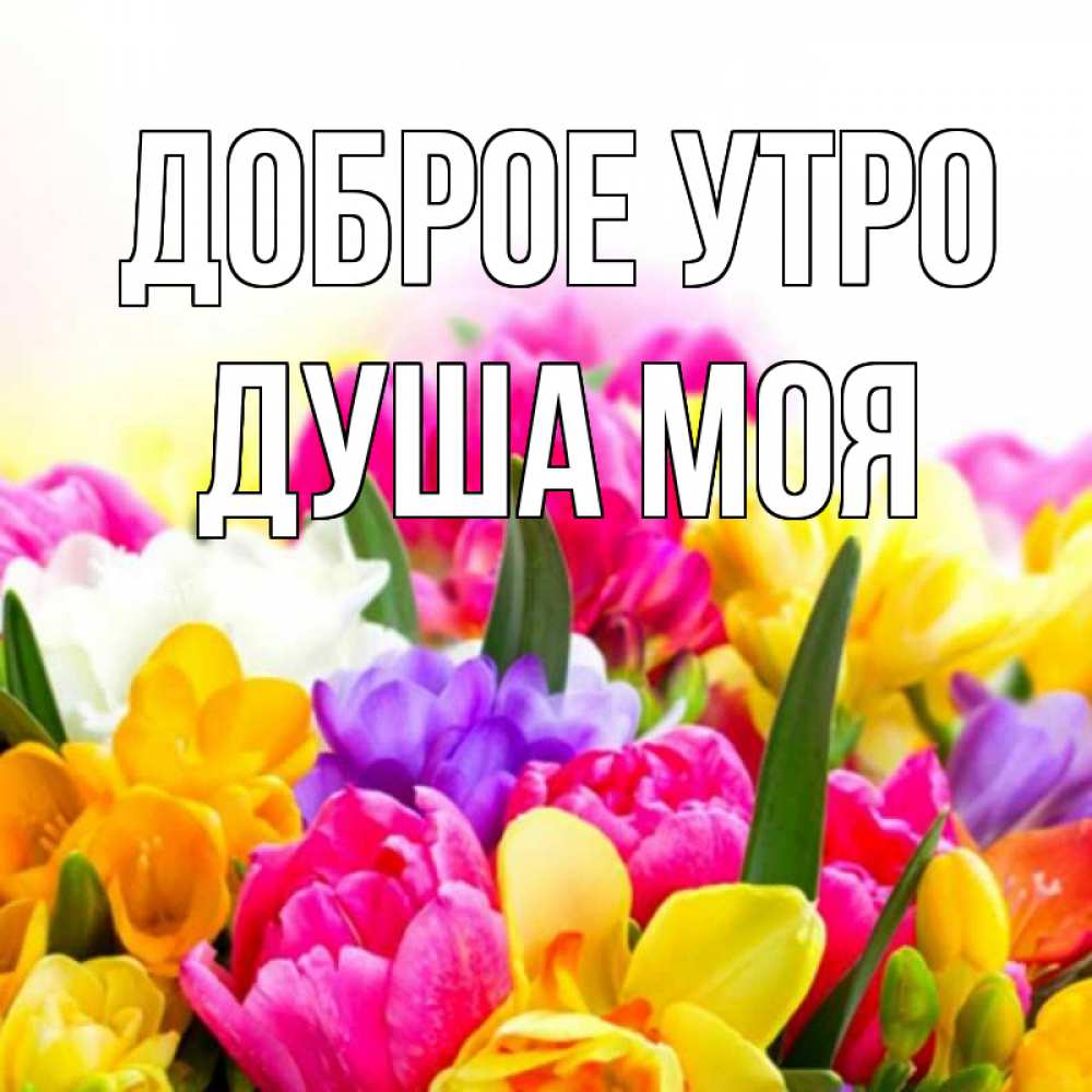 Открытка на каждый день с именем, Душа-моя Доброе утро создать открытку со свое подписью Прикольная открытка с пожеланием онлайн скачать бесплатно 