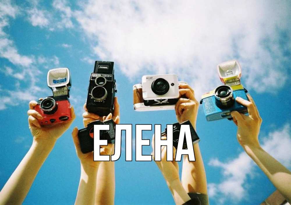 Открытка на каждый день с именем, Елена Главная с днем фотографа Прикольная открытка с пожеланием онлайн скачать бесплатно 