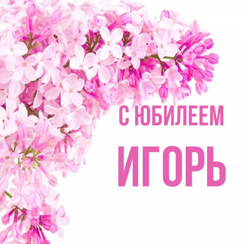 Открытка на каждый день с именем, Игорь С юбилеем Сирень на белом фоне Прикольная открытка с пожеланием онлайн скачать бесплатно 