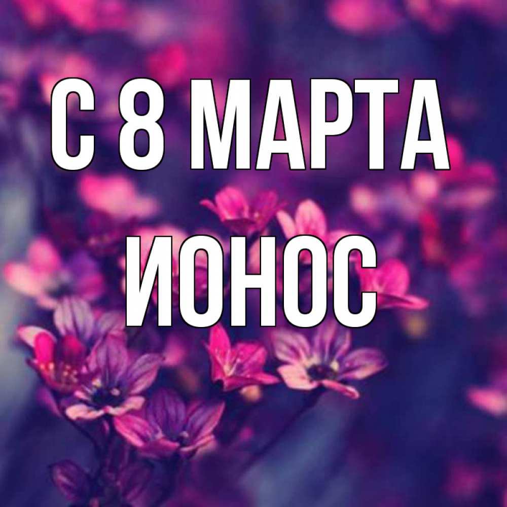 Открытка на каждый день с именем, Ионос С 8 марта небольшие цветы 1 Прикольная открытка с пожеланием онлайн скачать бесплатно 