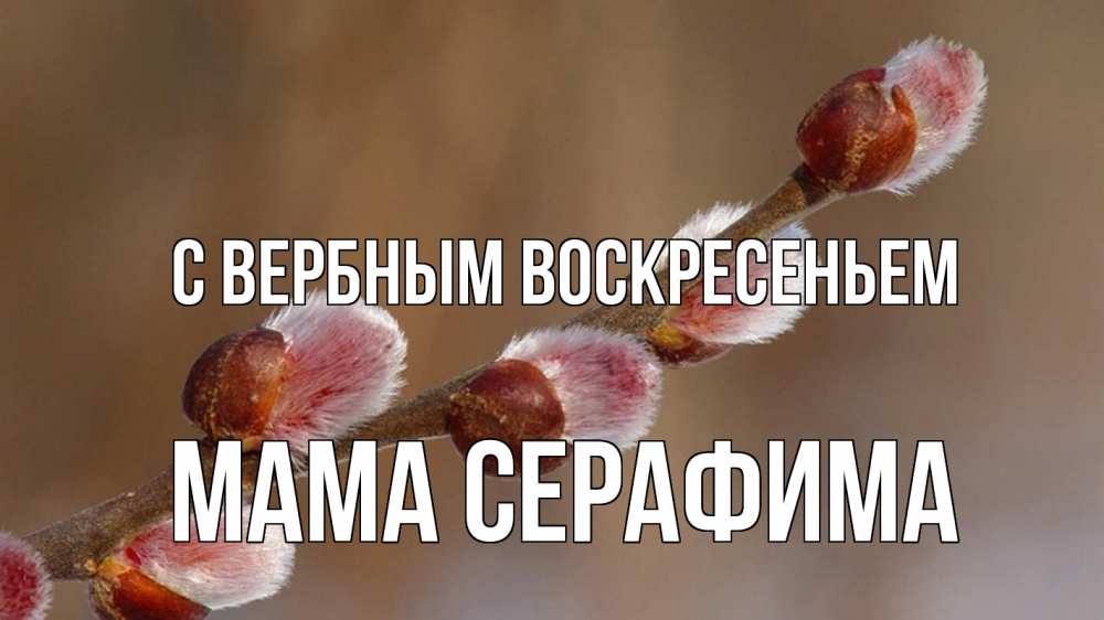 Открытка на каждый день с именем, Мама-Серафима С вербным воскресеньем верба Прикольная открытка с пожеланием онлайн скачать бесплатно 