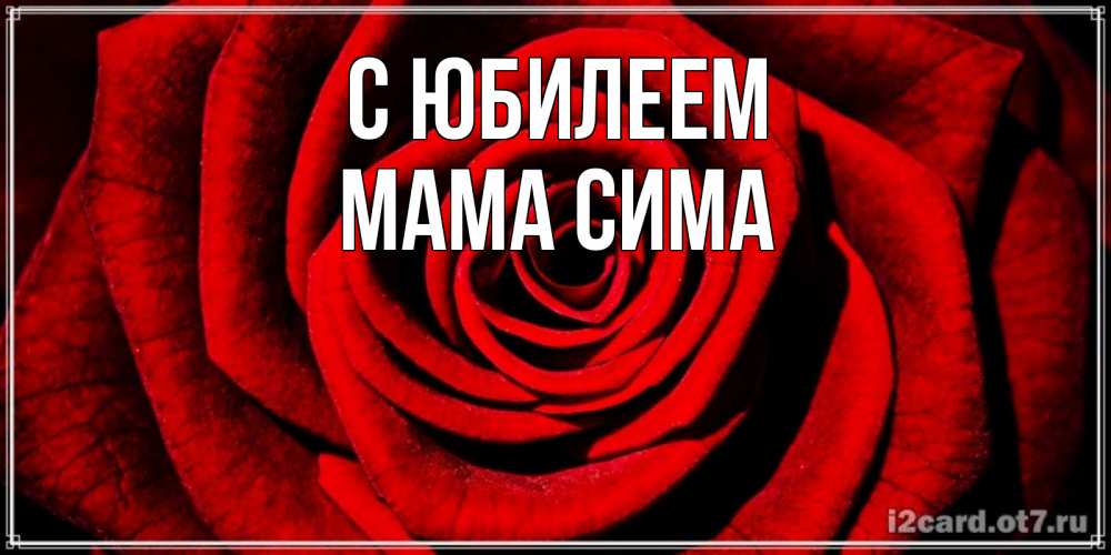 Открытка на каждый день с именем, Мама-Сима С юбилеем алая роза Прикольная открытка с пожеланием онлайн скачать бесплатно 