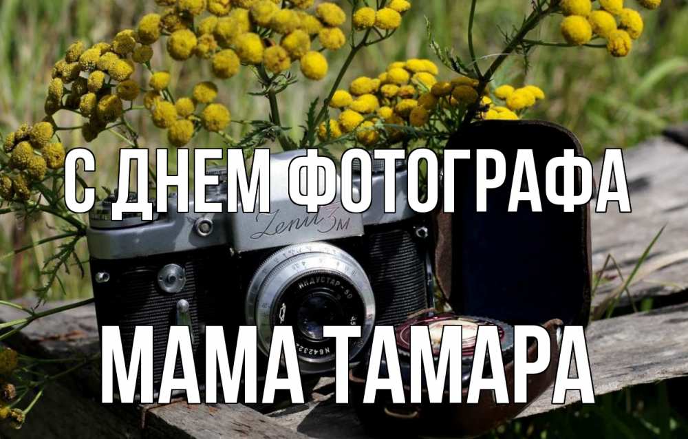 Открытка на каждый день с именем, Мама-Тамара С днем фотографа с днем фотографа Прикольная открытка с пожеланием онлайн скачать бесплатно 