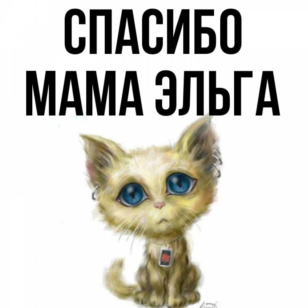 Открытка на каждый день с именем, Мама-Эльга Спасибо рисованный кот благодарит вас Прикольная открытка с пожеланием онлайн скачать бесплатно 