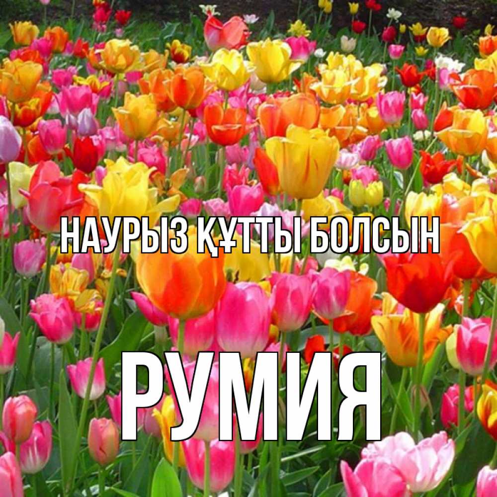 Открытка на каждый день с именем, Румия Наурыз құтты болсын на наурыз  ура ура Прикольная открытка с пожеланием онлайн скачать бесплатно 