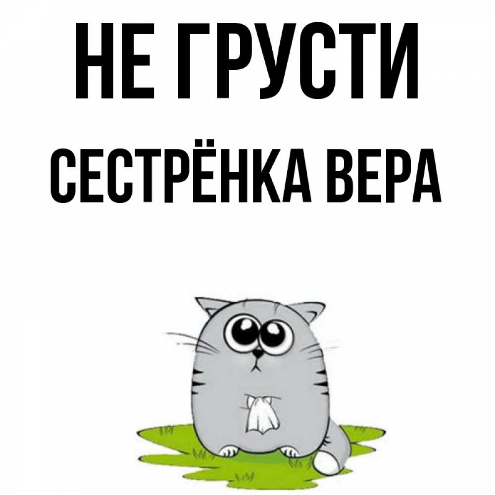 Открытка на каждый день с именем, Сестрёнка-Вера Не грусти грустный котяра Прикольная открытка с пожеланием онлайн скачать бесплатно 