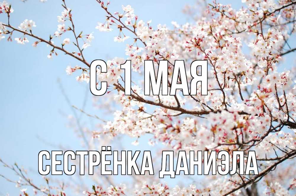 Открытка на каждый день с именем, Сестрёнка-Даниэла С 1 мая С 1 мая Прикольная открытка с пожеланием онлайн скачать бесплатно 