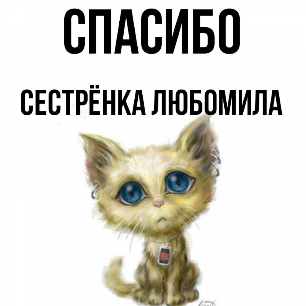 Открытка на каждый день с именем, Сестрёнка-Любомила Спасибо рисованный кот благодарит вас Прикольная открытка с пожеланием онлайн скачать бесплатно 