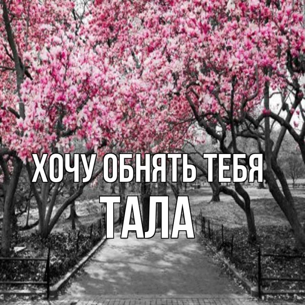 Открытка на каждый день с именем, Тала Хочу обнять тебя обработанное фото Прикольная открытка с пожеланием онлайн скачать бесплатно 