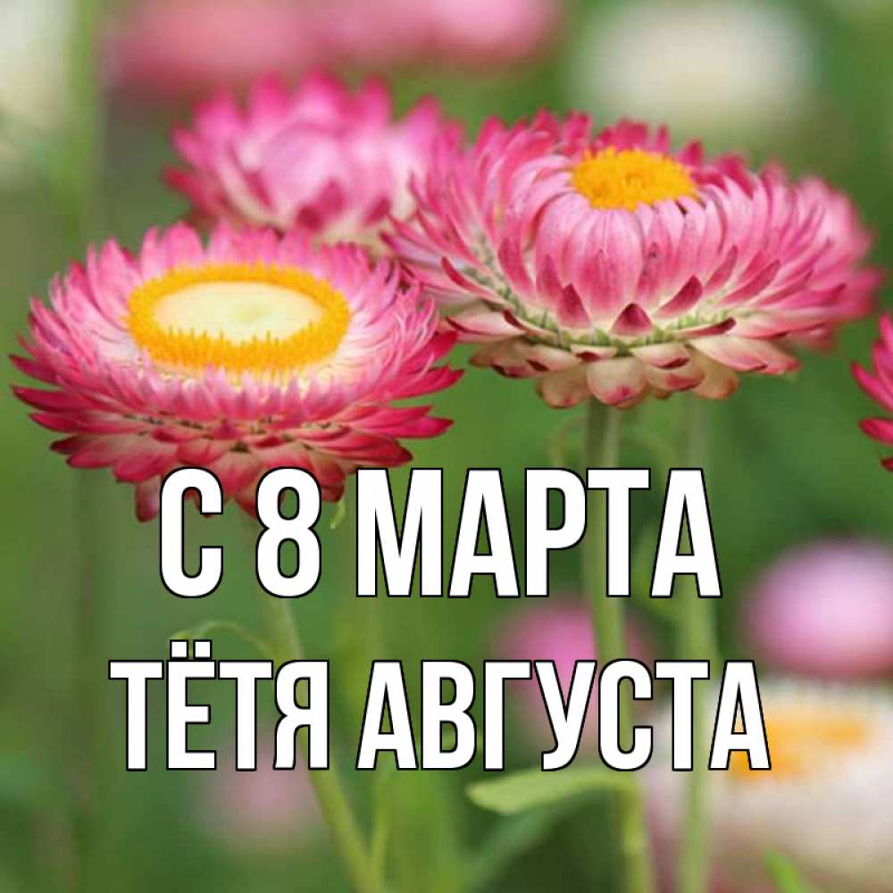 Открытка на каждый день с именем, Тётя-Августа С 8 МАРТА подарок на международный женский день Прикольная открытка с пожеланием онлайн скачать бесплатно 