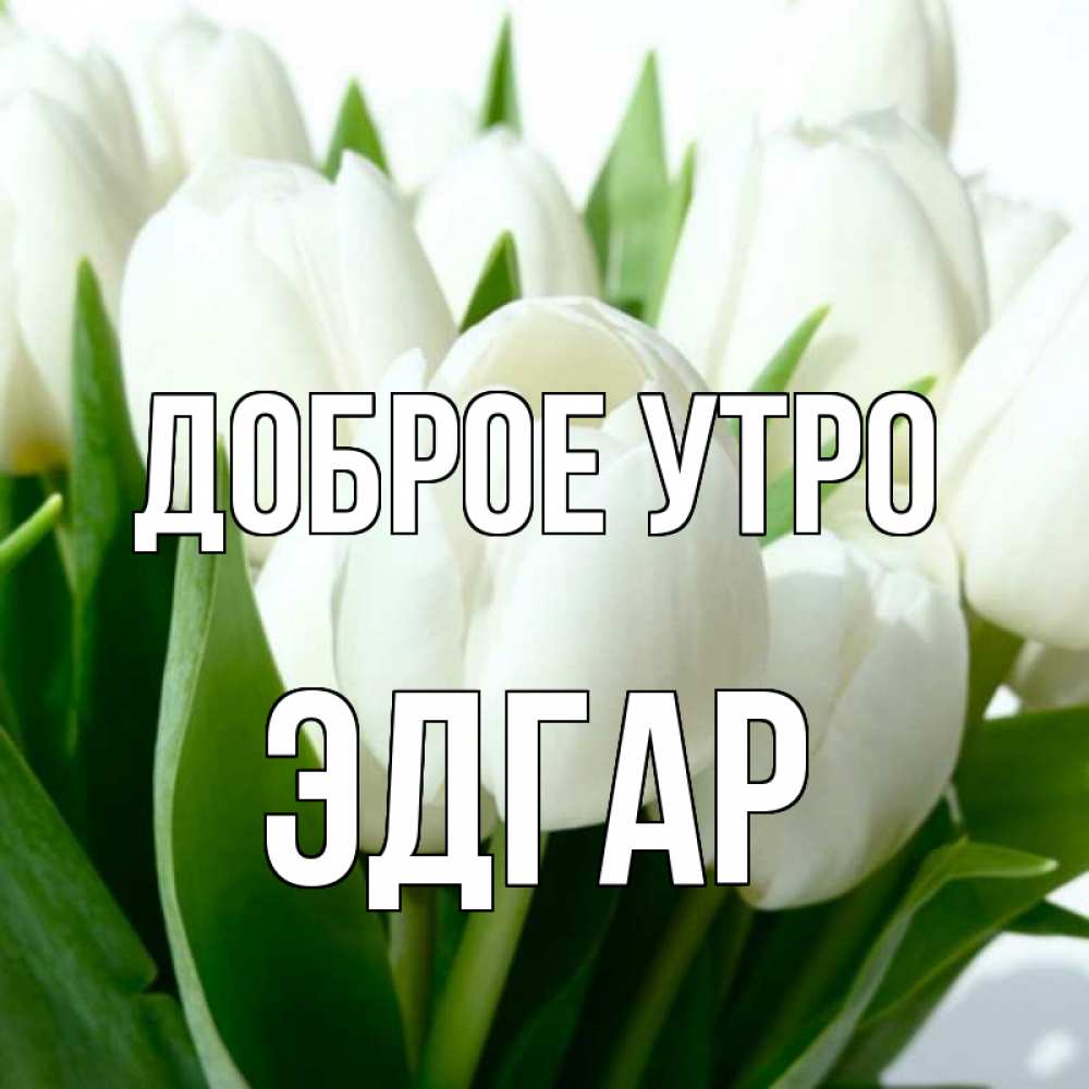 Открытка на каждый день с именем, Эдгар Доброе утро открытки на каждый день по именам Прикольная открытка с пожеланием онлайн скачать бесплатно 