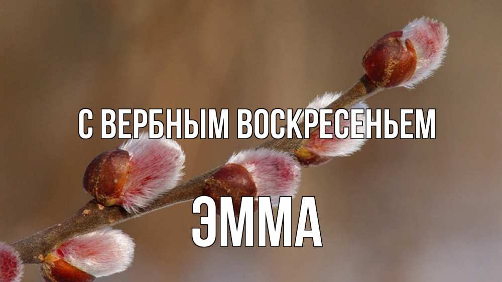 Открытка на каждый день с именем, Эмма С вербным воскресеньем верба Прикольная открытка с пожеланием онлайн скачать бесплатно 