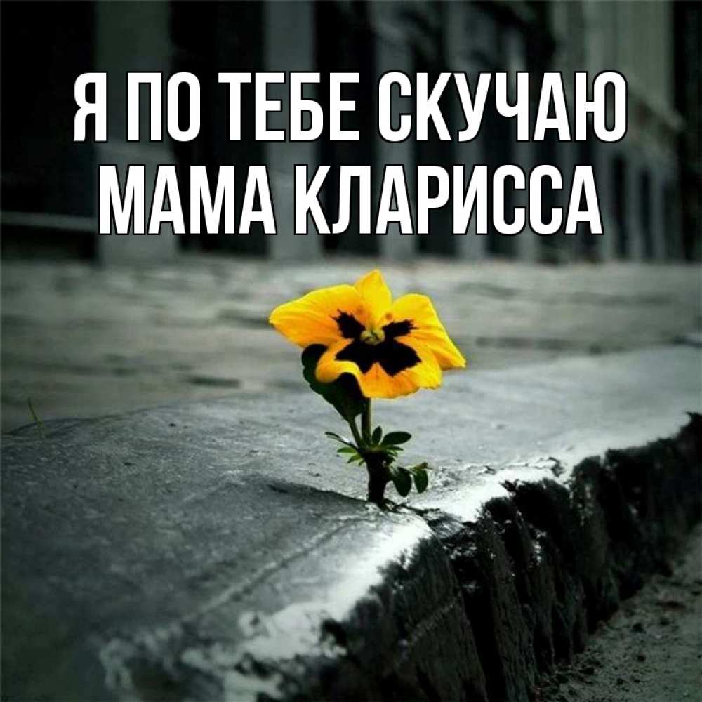 Открытка на каждый день с именем, Мама-Кларисса Я по тебе скучаю надеюсь будет лучше Прикольная открытка с пожеланием онлайн скачать бесплатно 