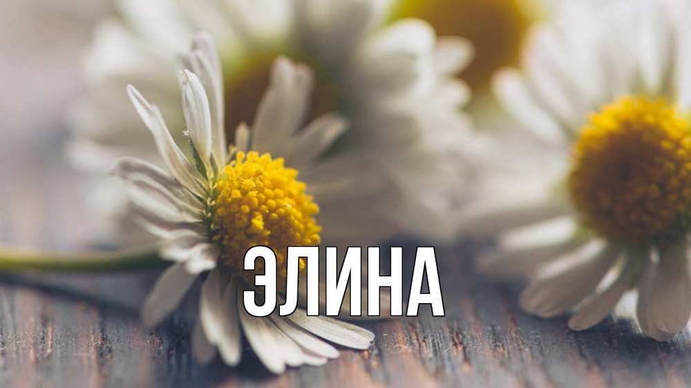 Открытка на каждый день с именем, Элина Главная с днем семьи Прикольная открытка с пожеланием онлайн скачать бесплатно 