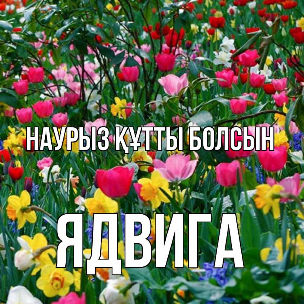 Открытка на каждый день с именем, Ядвига Наурыз құтты болсын с наурызом поздравления для женщины Прикольная открытка с пожеланием онлайн скачать бесплатно 