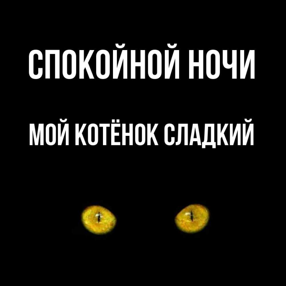 Доброе утро котенок. Любимому котенку. Сладких снов котенок. Милые котята спят. Спящий котенок.