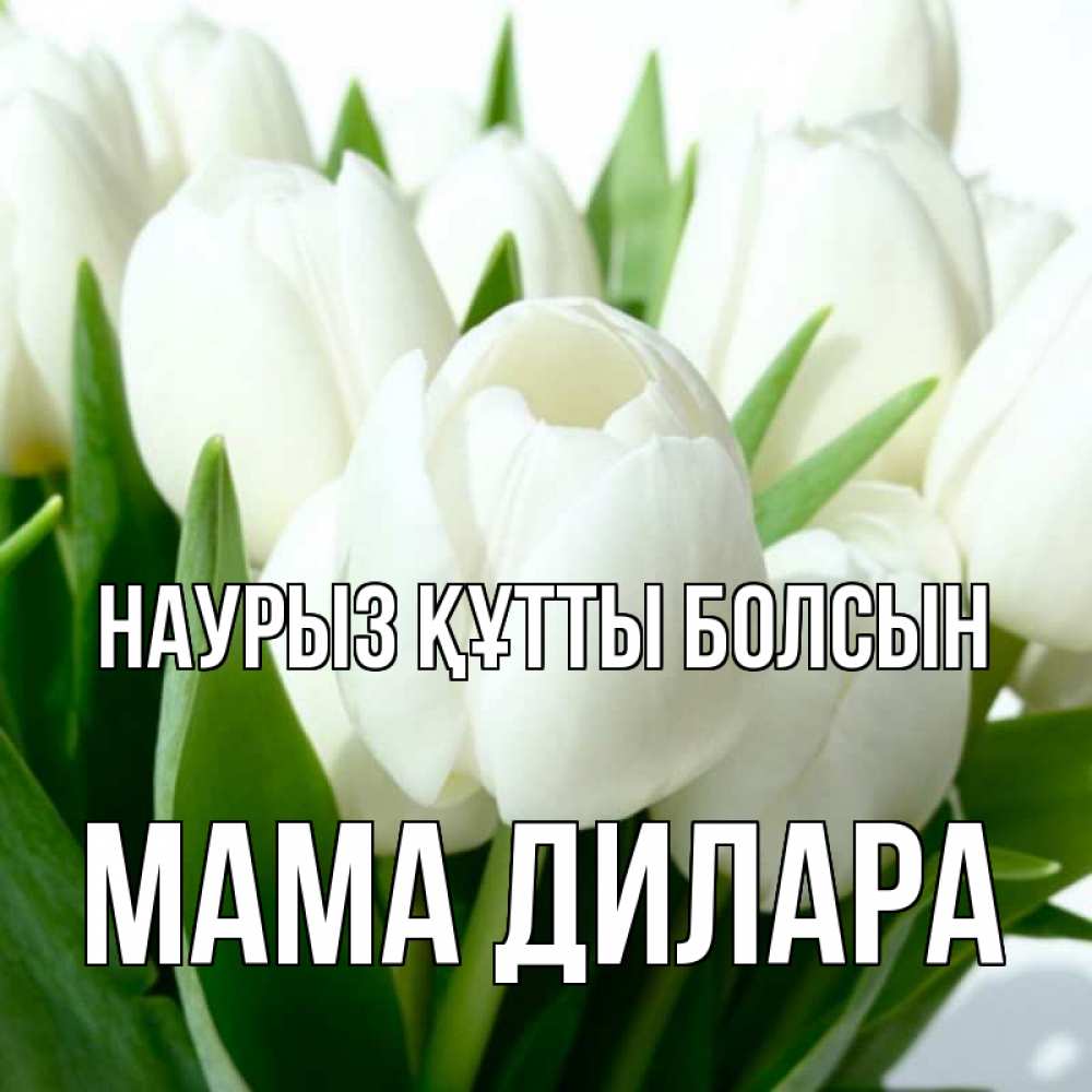 Открытка на каждый день с именем, Мама-Дилара Наурыз құтты болсын цветы Прикольная открытка с пожеланием онлайн скачать бесплатно 