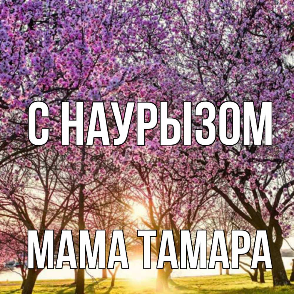 Открытка на каждый день с именем, Мама-Тамара С наурызом праздник весны наурыз Прикольная открытка с пожеланием онлайн скачать бесплатно 