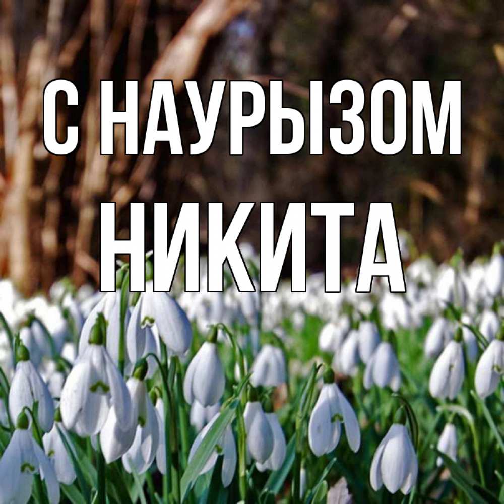 Открытка на каждый день с именем, Никита С наурызом с подснежниками 1 Прикольная открытка с пожеланием онлайн скачать бесплатно 