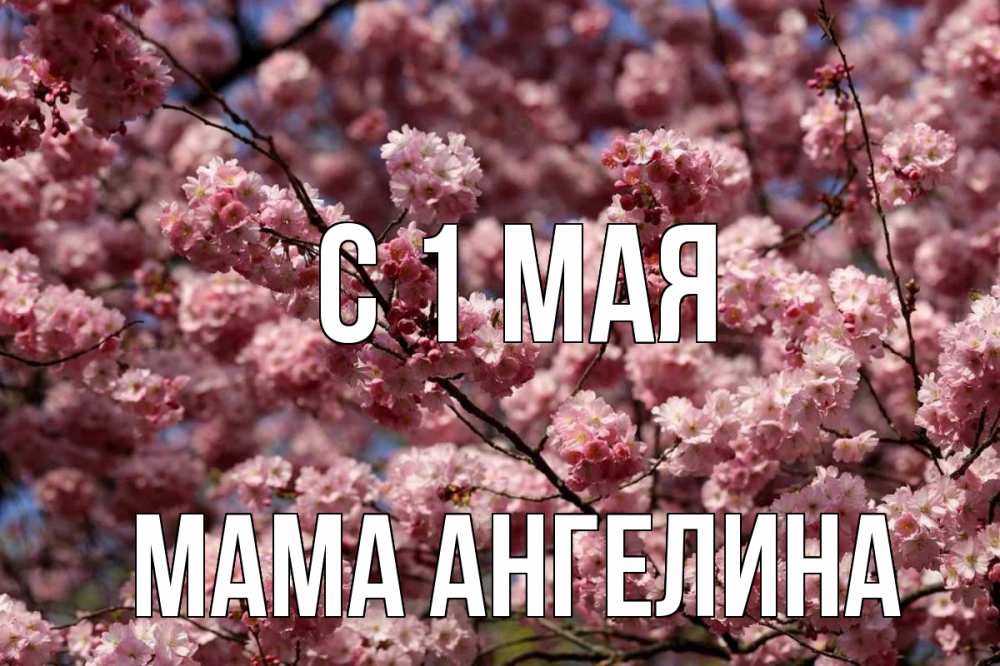 Мой май картинки