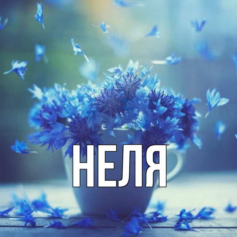 Картинки с именем неля