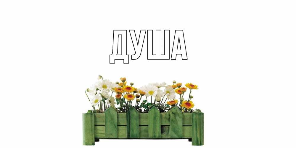 Открытка на каждый день с именем, Душа Главная цветы Прикольная открытка с пожеланием онлайн скачать бесплатно 