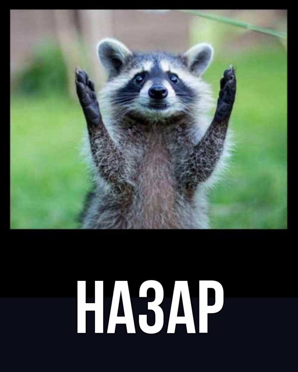 Открытка на каждый день с именем, Назар Главная хорошее настроение утречком Прикольная открытка с пожеланием онлайн скачать бесплатно 