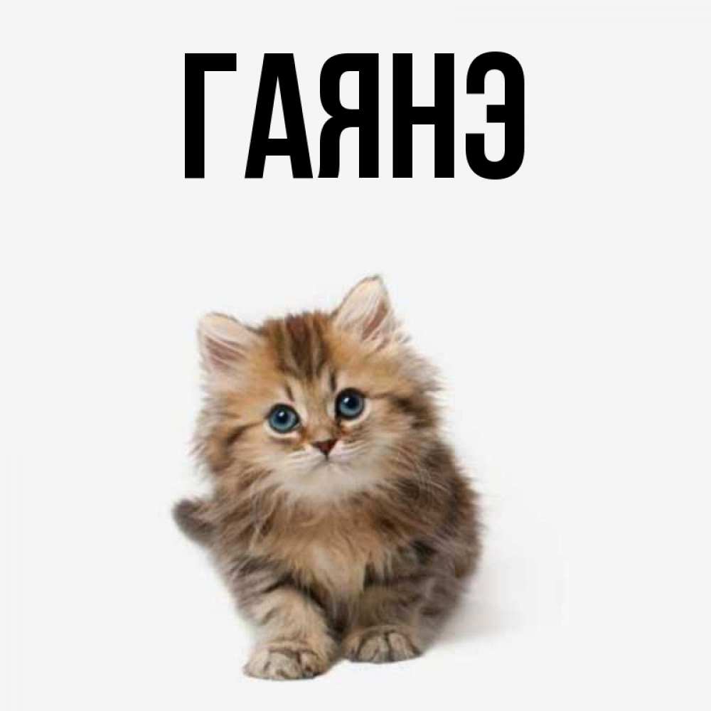 Днем, открытки гаянэ