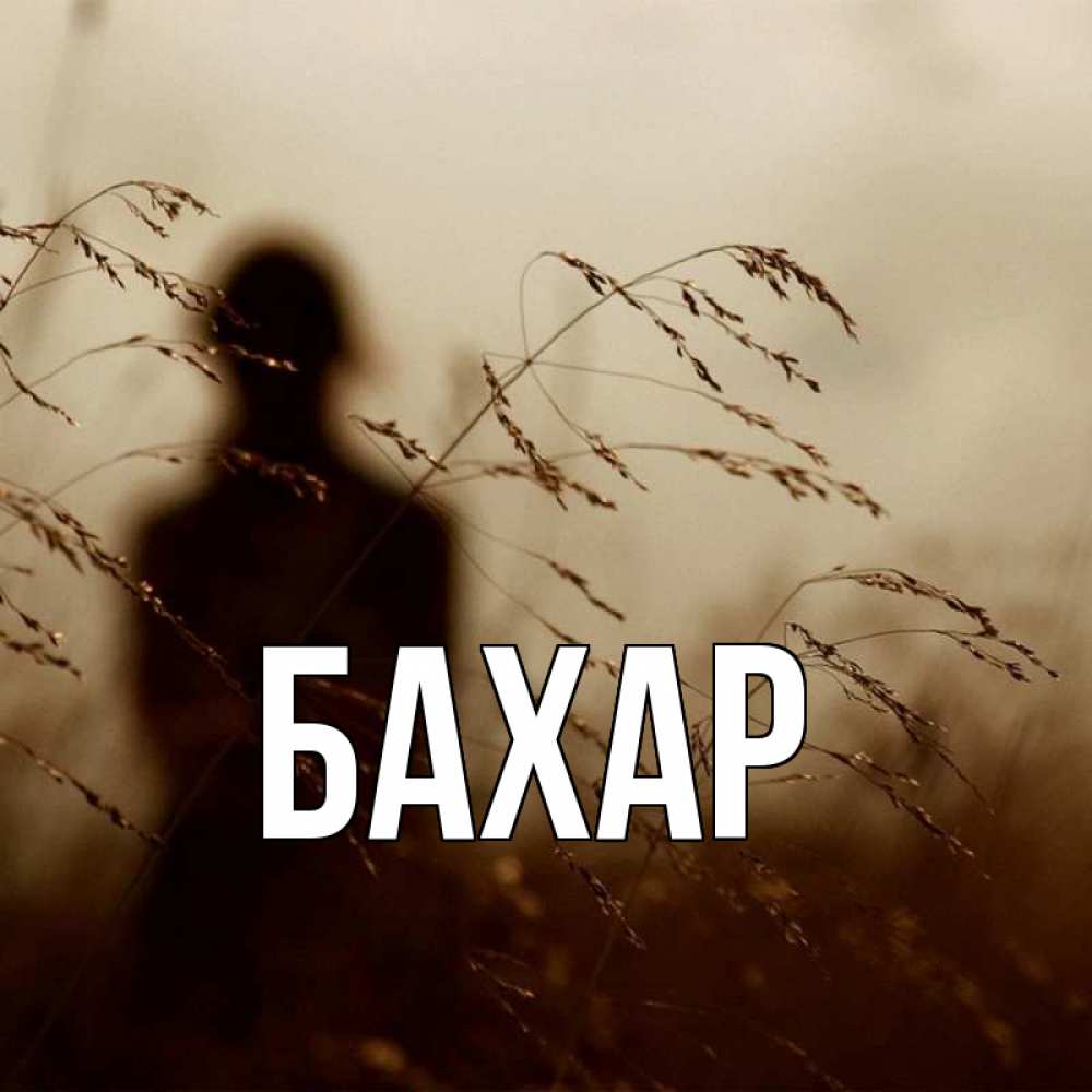 Картинка  с именем , Бахар
