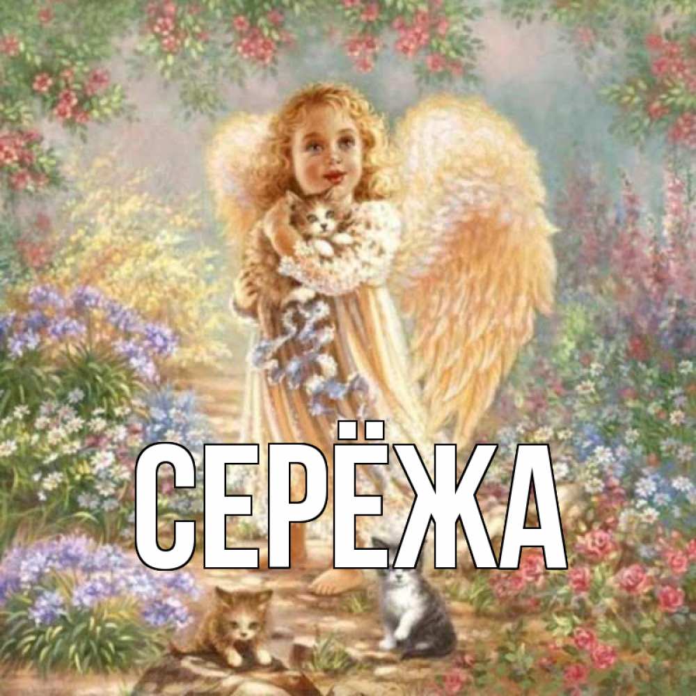 Открытка на каждый день с именем, Серёжа Главная держит котенка Прикольная открытка с пожеланием онлайн скачать бесплатно 