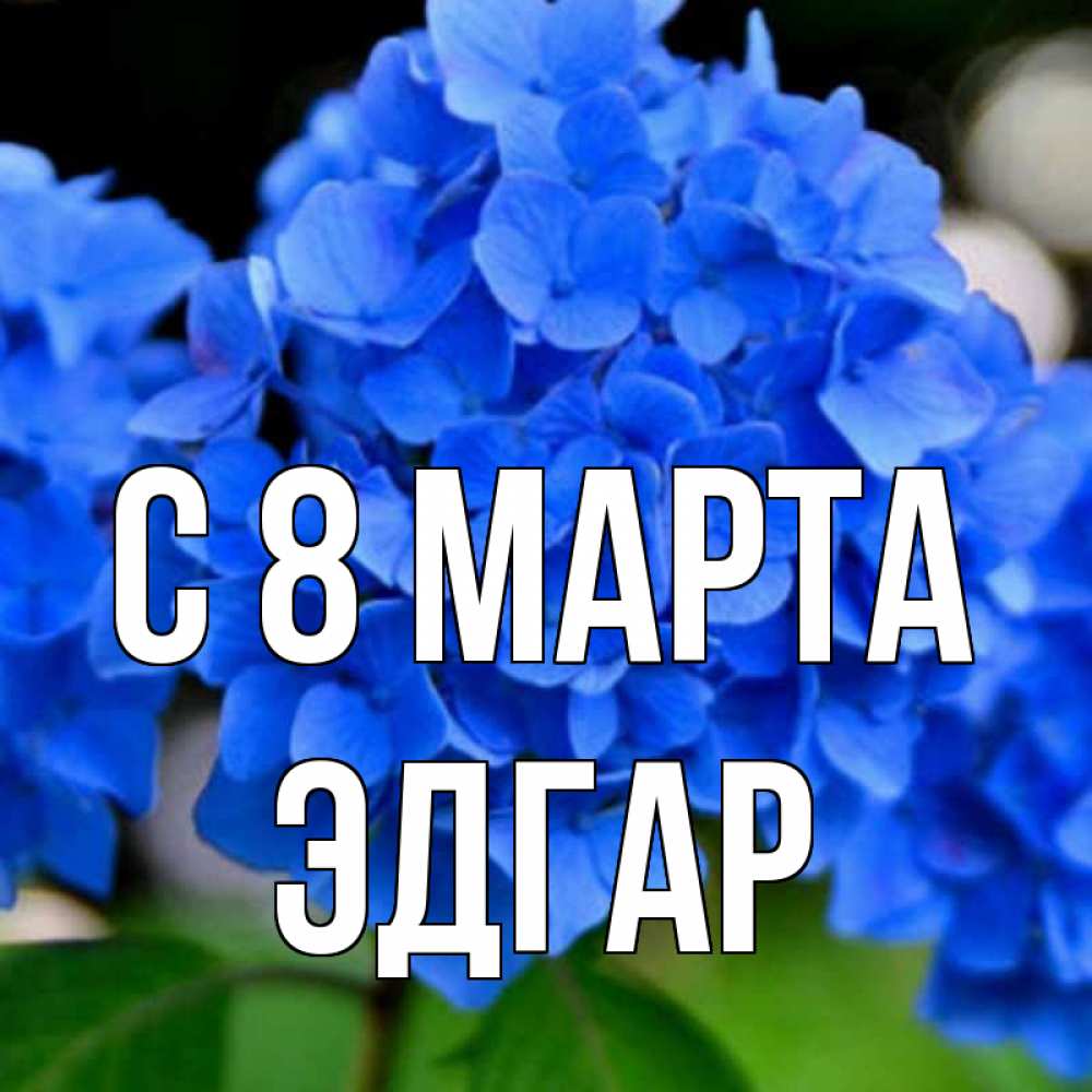 Открытка на каждый день с именем, Эдгар С 8 марта синие цветы Прикольная открытка с пожеланием онлайн скачать бесплатно 