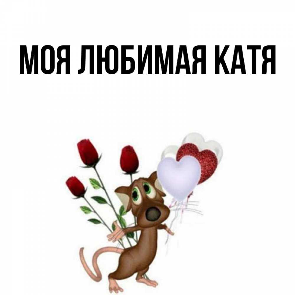 Февраля картинки, любимой катюшке картинки
