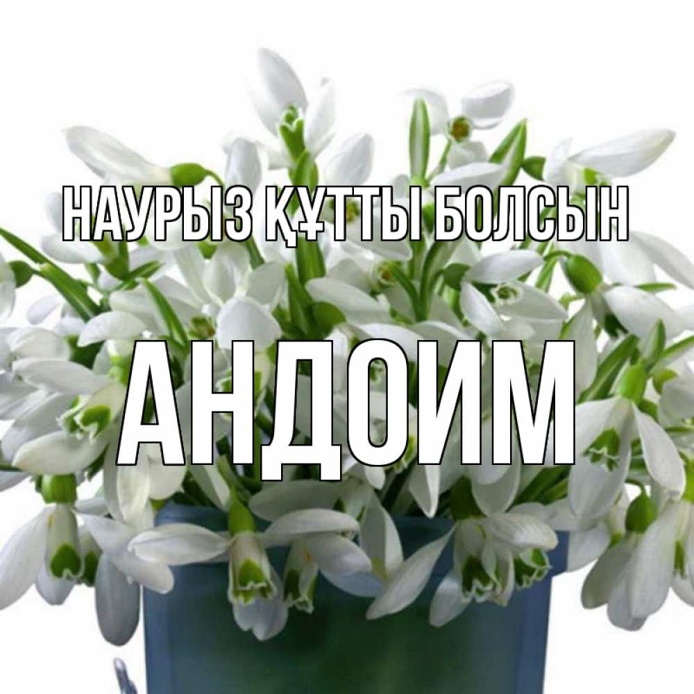 Открытка на каждый день с именем, Андоим Наурыз құтты болсын цветы к наурызу Прикольная открытка с пожеланием онлайн скачать бесплатно 