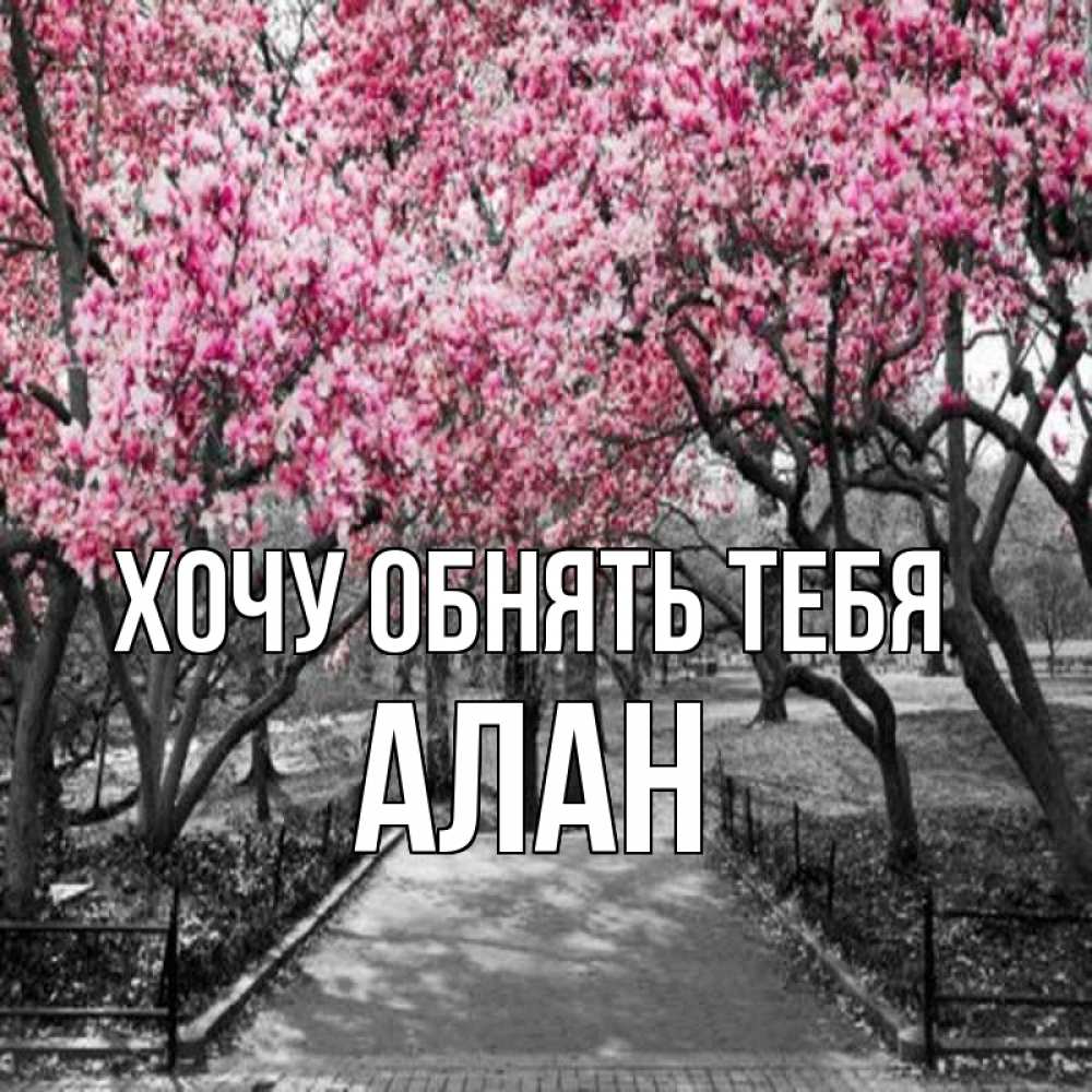 Открытка на каждый день с именем, Алан Хочу обнять тебя обработанное фото Прикольная открытка с пожеланием онлайн скачать бесплатно 