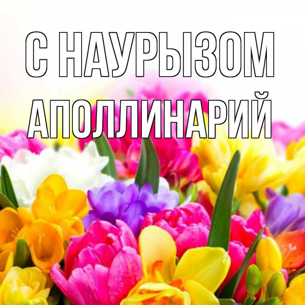 Открытка на каждый день с именем, Аполлинарий С наурызом тюльпаны Прикольная открытка с пожеланием онлайн скачать бесплатно 