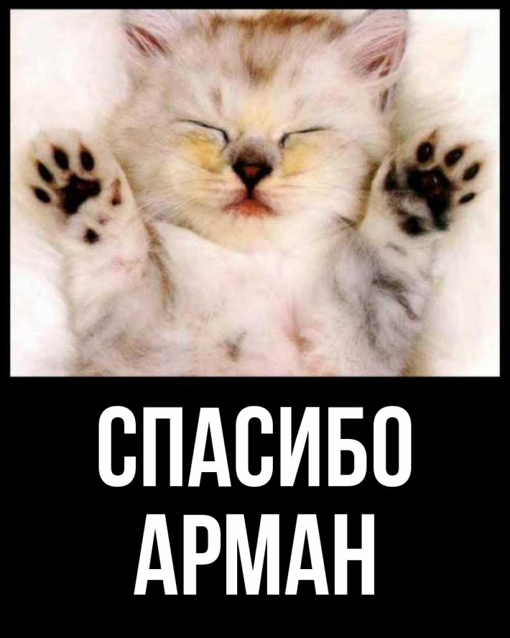 Открытка на каждый день с именем, Арман Спасибо маленький котенок Прикольная открытка с пожеланием онлайн скачать бесплатно 
