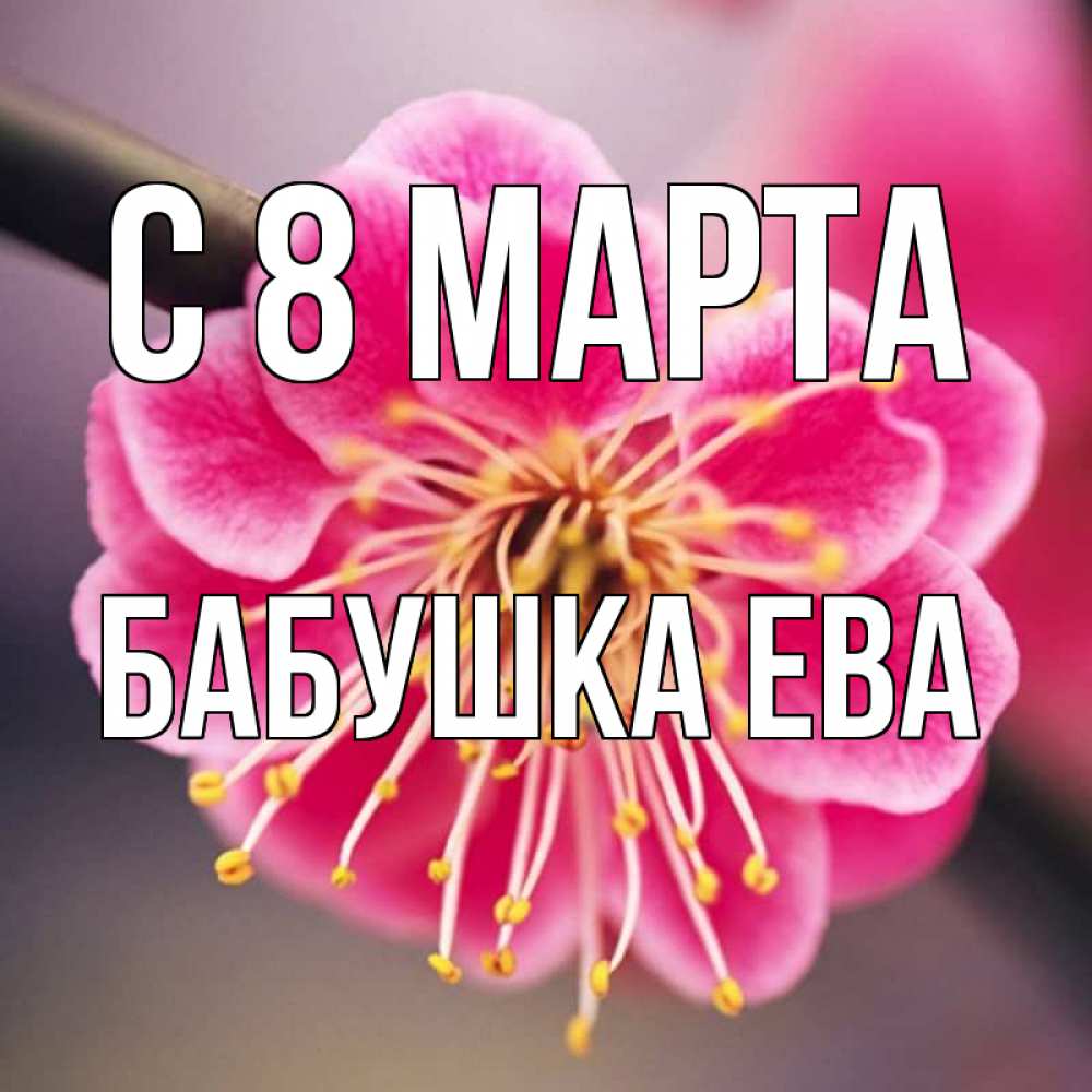 Открытка на каждый день с именем, Бабушка-Ева С 8 МАРТА цветы Прикольная открытка с пожеланием онлайн скачать бесплатно 